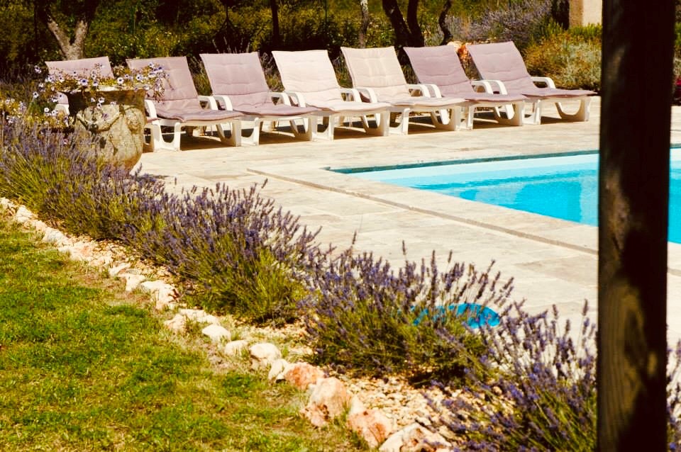 Piscine, Jardin et Vasques fleuris