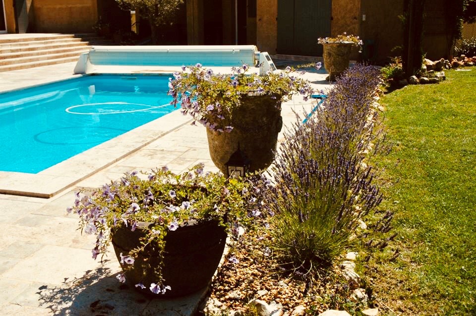 Piscine, Jardin et Vasques fleuris