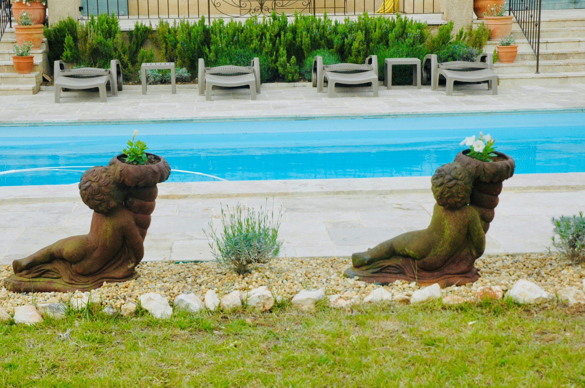 Piscine, Jardin et Vasques fleuris